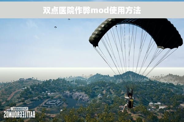 双点医院作弊mod使用方法