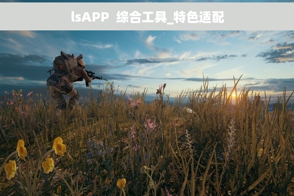 lsAPP  综合工具_特色适配