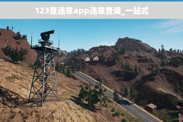 123查违章app违章查询_一站式