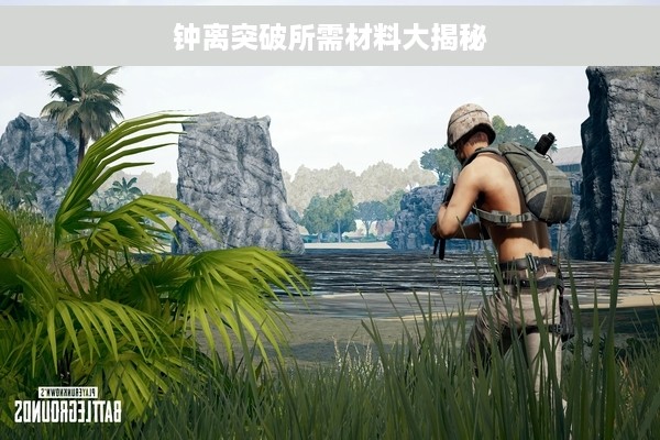 钟离突破所需材料大揭秘