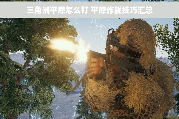 三角洲平原怎么打 平原作战技巧汇总