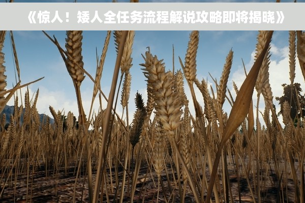《惊人！矮人全任务流程解说攻略即将揭晓》