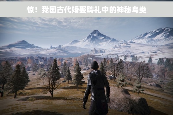 惊！我国古代婚娶聘礼中的神秘鸟类