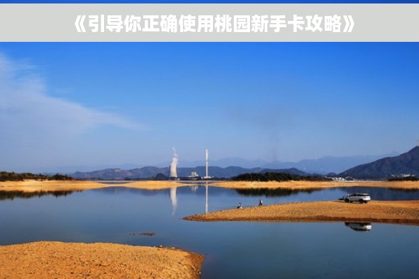 《引导你正确使用桃园新手卡攻略》