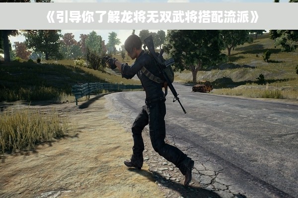 《引导你了解龙将无双武将搭配流派》