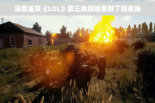 深度鉴赏《LOL》第三类接触黑默丁格皮肤