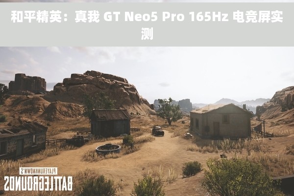 和平精英：真我 GT Neo5 Pro 165Hz 电竞屏实测