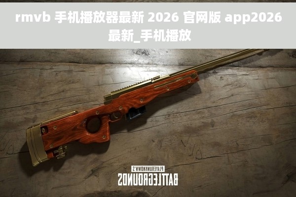 rmvb 手机播放器最新 2026 官网版 app2026 最新_手机播放