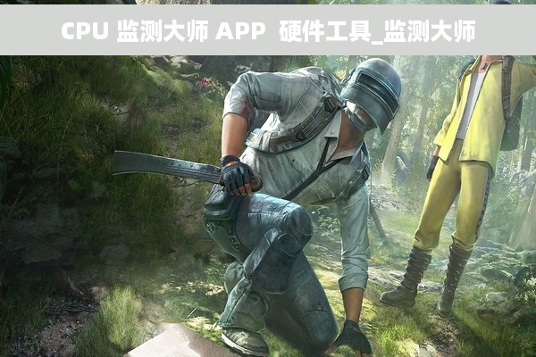 CPU 监测大师 APP  硬件工具_监测大师