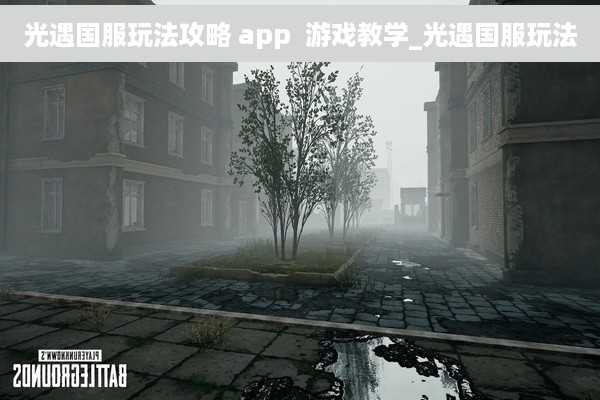 光遇国服玩法攻略 app  游戏教学_光遇国服玩法