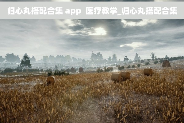 归心丸搭配合集 app  医疗教学_归心丸搭配合集