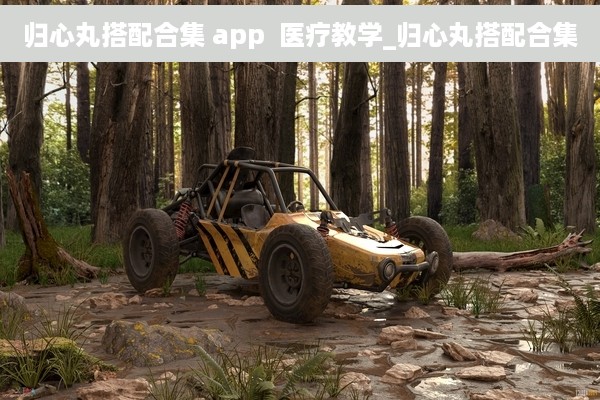 归心丸搭配合集 app  医疗教学_归心丸搭配合集