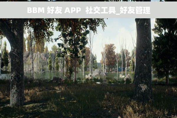 BBM 好友 APP  社交工具_好友管理