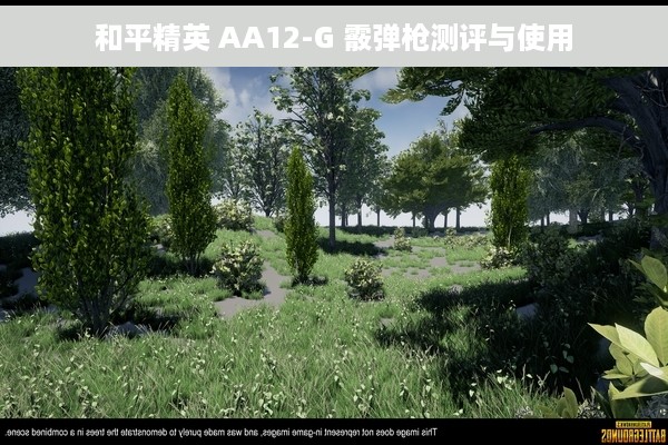 和平精英 AA12-G 霰弹枪测评与使用