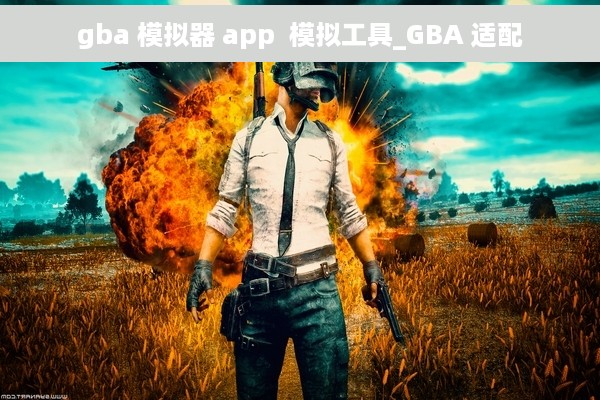 gba 模拟器 app  模拟工具_GBA 适配