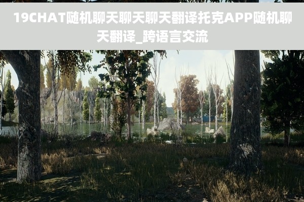 19CHAT随机聊天聊天聊天翻译托克APP随机聊天翻译_跨语言交流