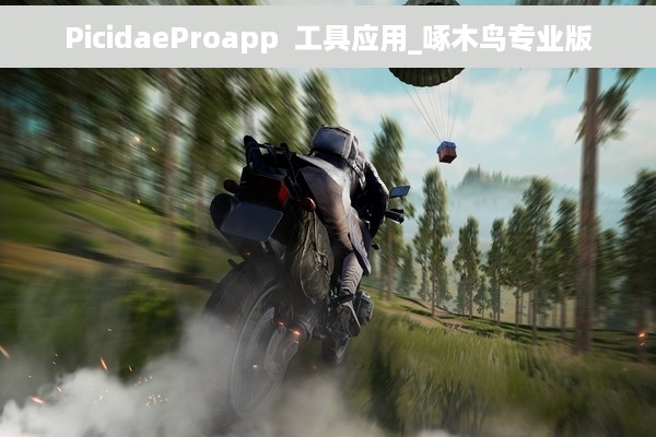 PicidaeProapp  工具应用_啄木鸟专业版