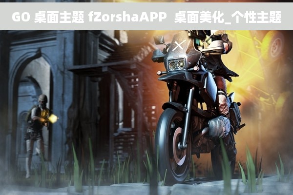 GO 桌面主题 fZorshaAPP  桌面美化_个性主题