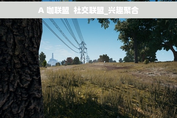 A 咖联盟  社交联盟_兴趣聚合