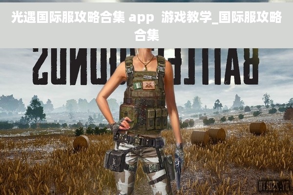 光遇国际服攻略合集 app  游戏教学_国际服攻略合集