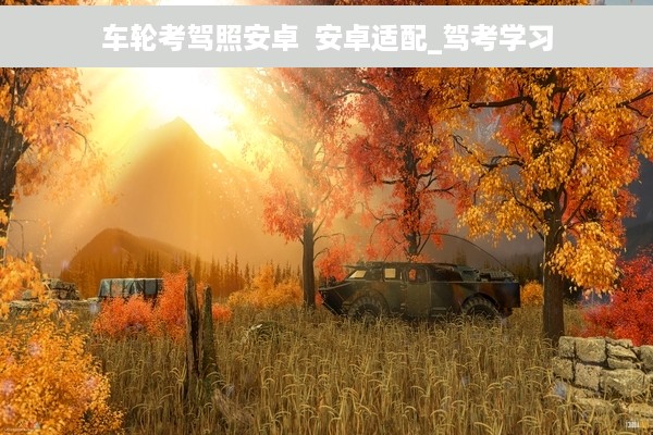 车轮考驾照安卓  安卓适配_驾考学习