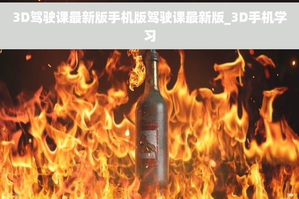 3D驾驶课最新版手机版驾驶课最新版_3D手机学习