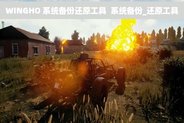 WINGHO 系统备份还原工具  系统备份_还原工具