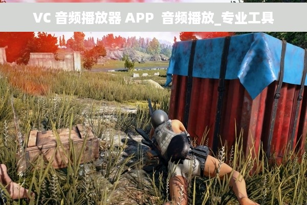 VC 音频播放器 APP  音频播放_专业工具