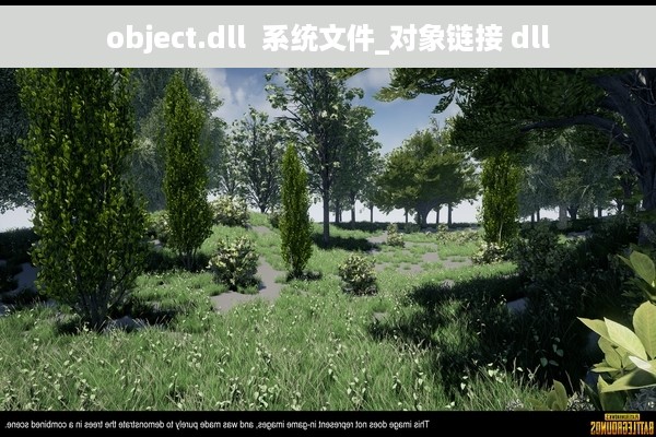 object.dll  系统文件_对象链接 dll