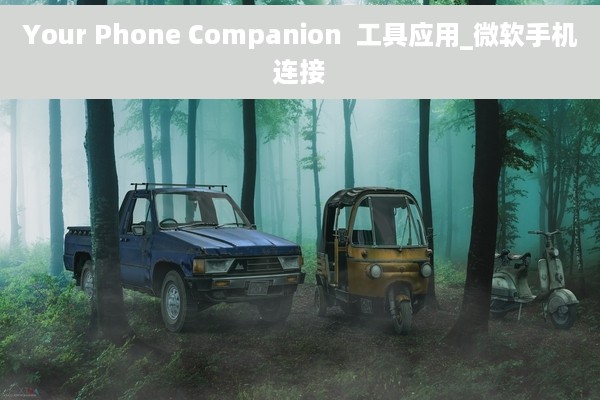 Your Phone Companion  工具应用_微软手机连接