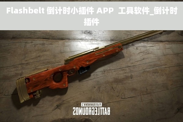 Flashbelt 倒计时小插件 APP  工具软件_倒计时插件