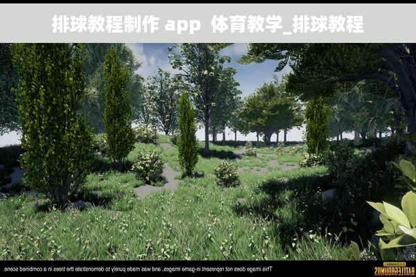 排球教程制作 app  体育教学_排球教程