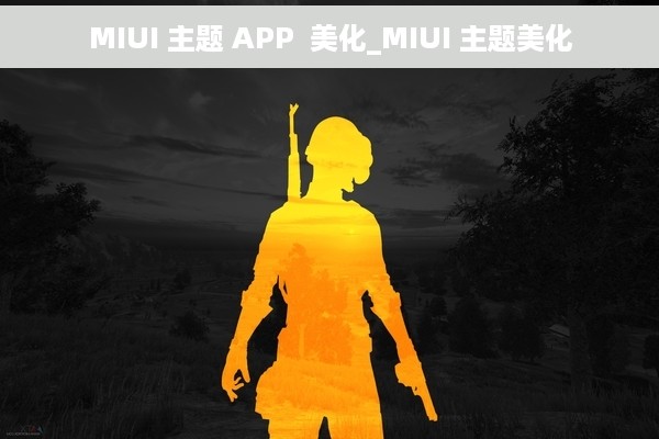 MIUI 主题 APP  美化_MIUI 主题美化