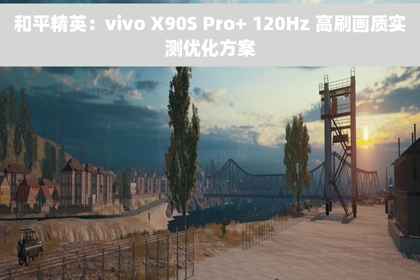 和平精英：vivo X90S Pro+ 120Hz 高刷画质实测优化方案