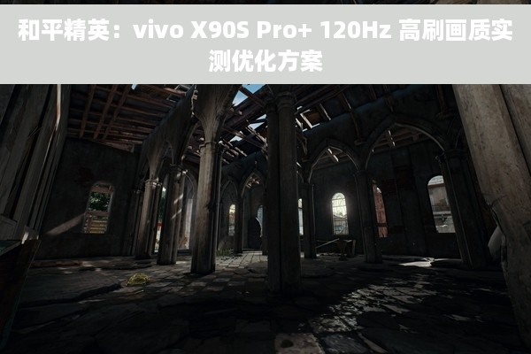 和平精英：vivo X90S Pro+ 120Hz 高刷画质实测优化方案