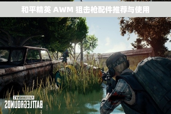 和平精英 AWM 狙击枪配件推荐与使用