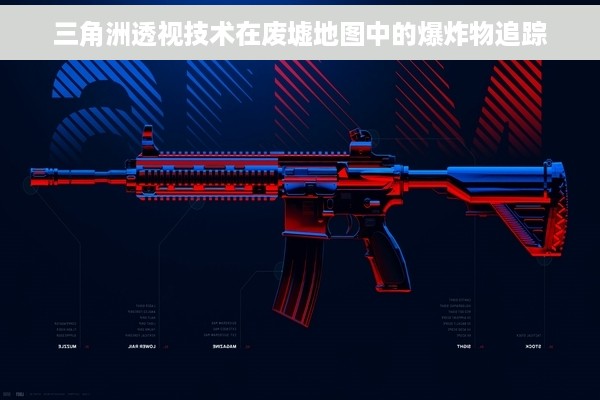 三角洲透视技术在废墟地图中的爆炸物追踪