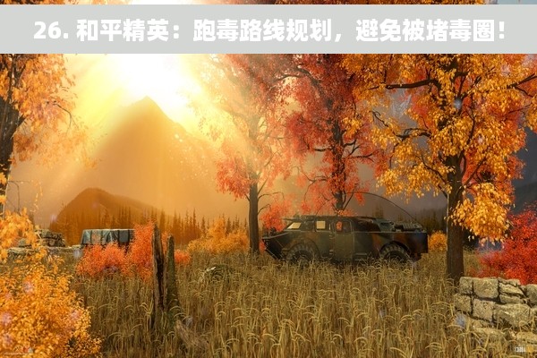 26. 和平精英：跑毒路线规划，避免被堵毒圈！