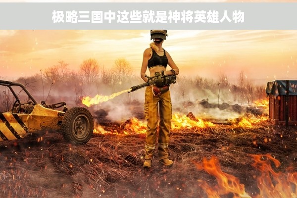 极略三国中这些就是神将英雄人物