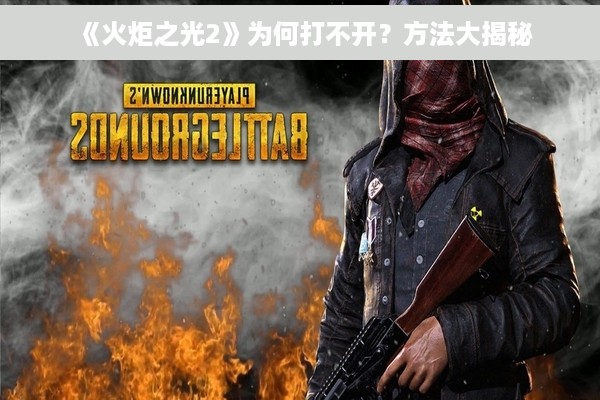 《火炬之光2》为何打不开？方法大揭秘