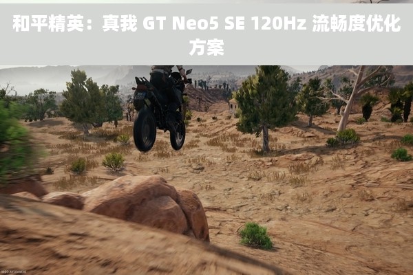 和平精英：真我 GT Neo5 SE 120Hz 流畅度优化方案