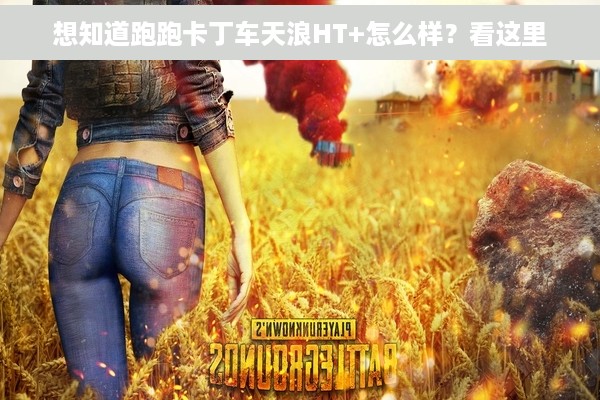 想知道跑跑卡丁车天浪HT+怎么样？看这里