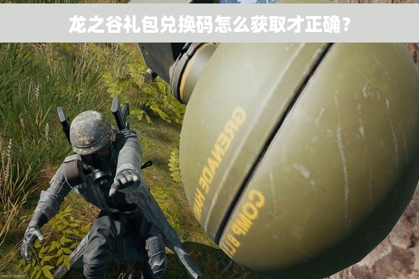 龙之谷礼包兑换码怎么获取才正确？