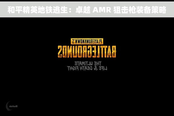 和平精英地铁逃生：卓越 AMR 狙击枪装备策略