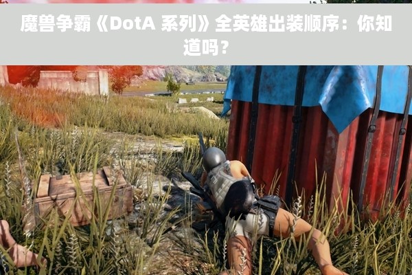 魔兽争霸《DotA 系列》全英雄出装顺序：你知道吗？