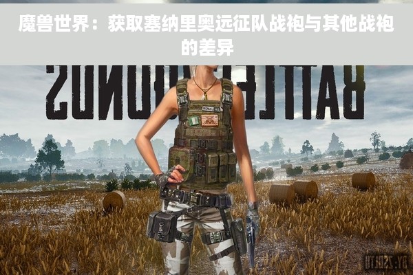 魔兽世界：获取塞纳里奥远征队战袍与其他战袍的差异