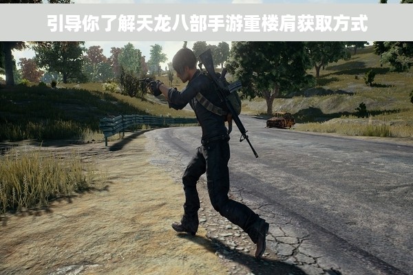 引导你了解天龙八部手游重楼肩获取方式