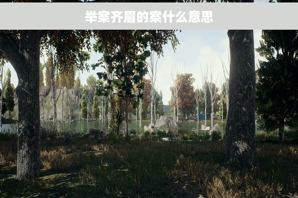 举案齐眉的案什么意思