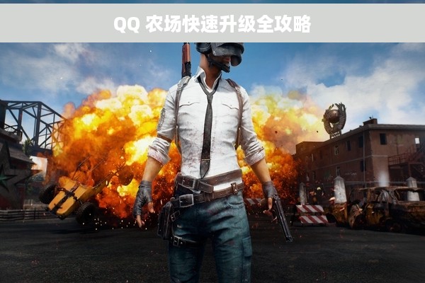 QQ 农场快速升级全攻略