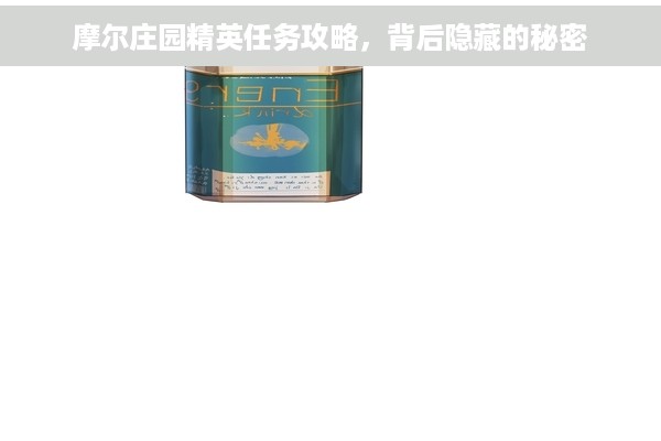 摩尔庄园精英任务攻略，背后隐藏的秘密